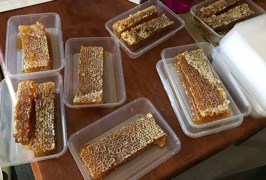 Red Gum Honey: Discover the Best Honey in Singapore for Sore Throat Relief
