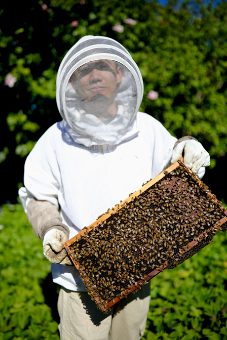 Ethical Jarrah & Red Gum Honey: Singapore’s Best Natural Choice