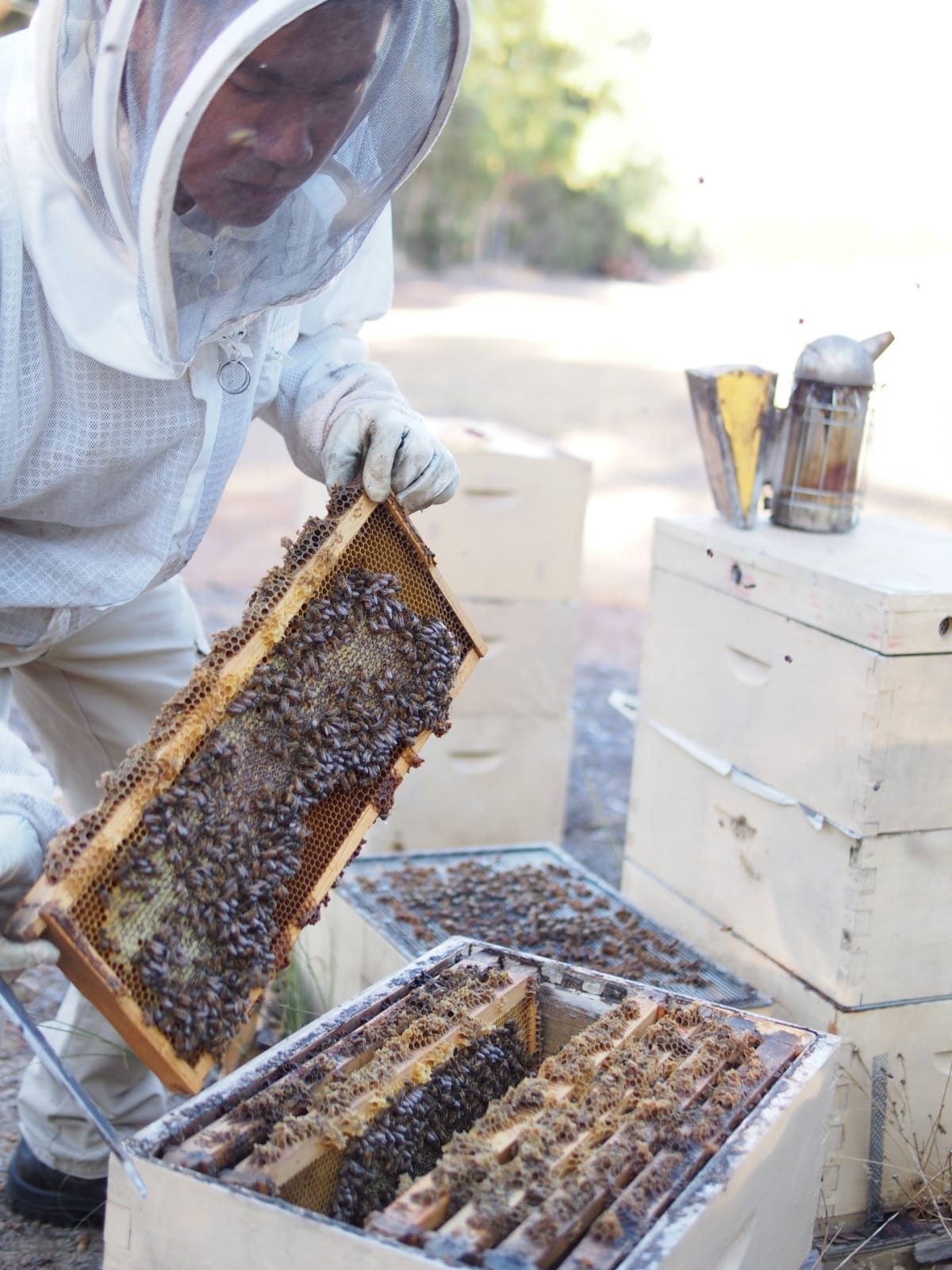 Chris tend to his bees ethically and naturally