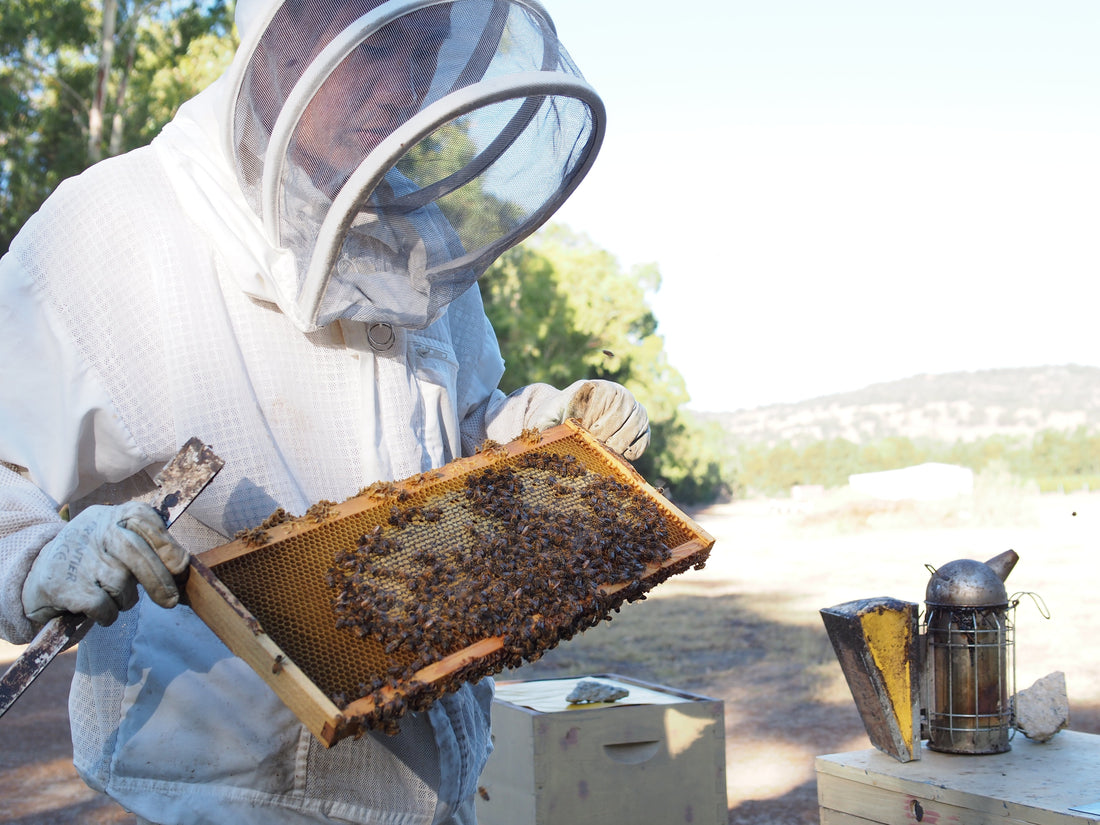 Best Halal Honey in Singapore: Pure, Certified & Trusted