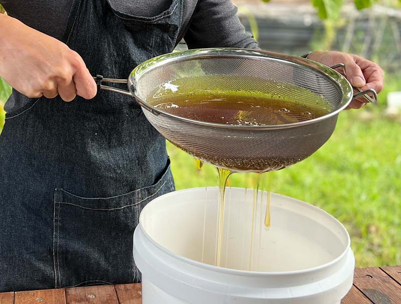 Singapore’s Reputable Honey: Bee Bee Natural’s Jarrah & Red Gum
