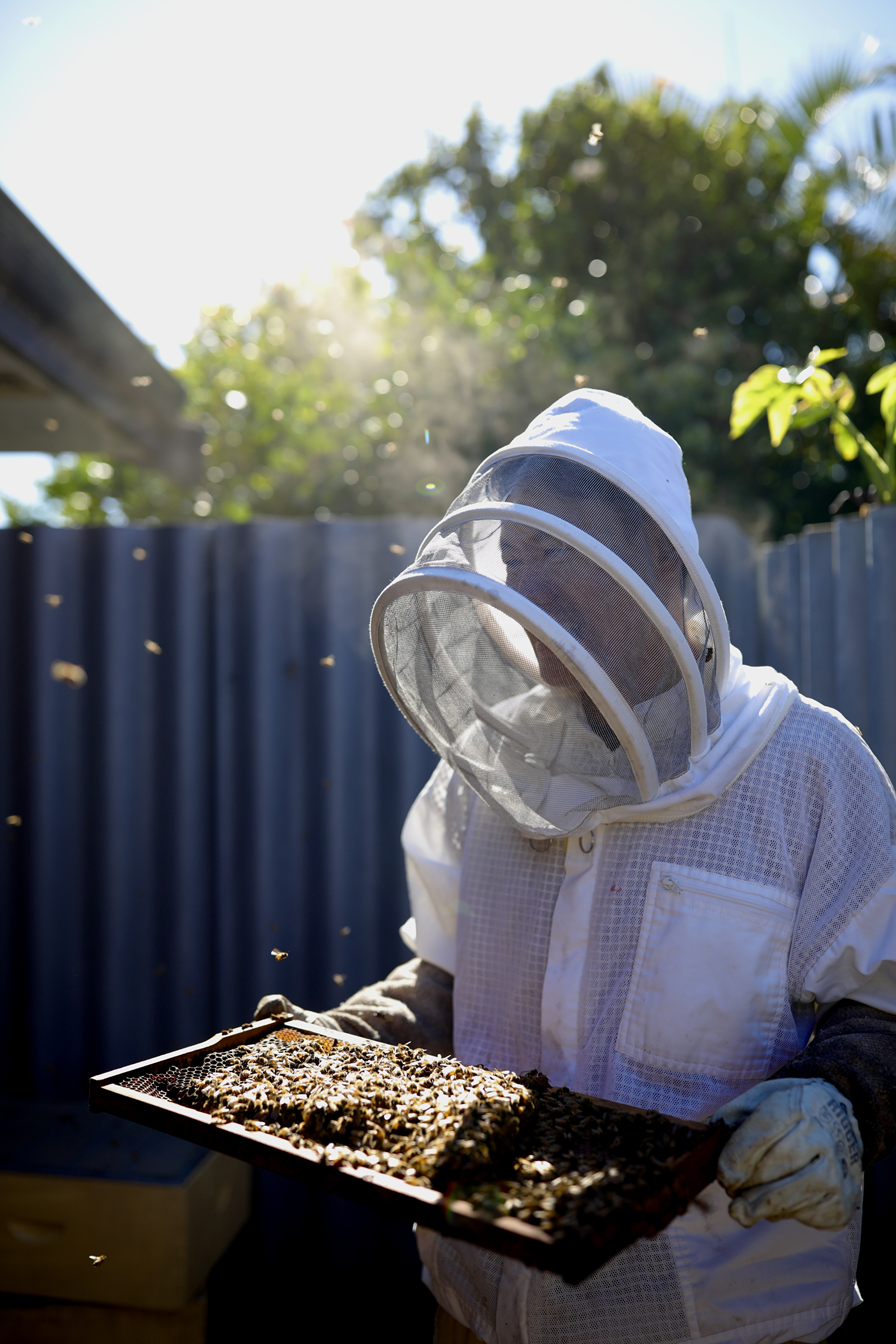 Jarrah & Red Gum Honey: Singapore’s Premium Antibacterial Superfood